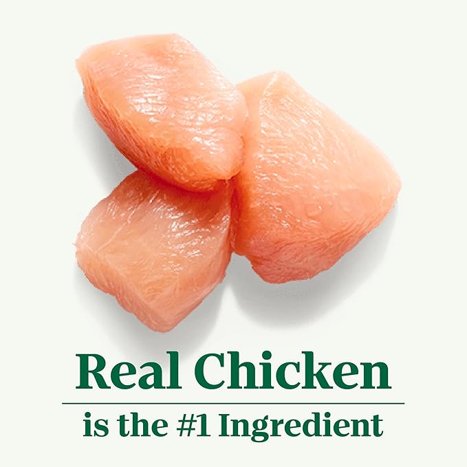 Nutro Natural Choice Small Bites Adult Dry Dog Food, Chicken and Brown Rice Recipe, 13 lbs. - PAWPICO