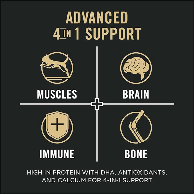 Purina Pro Plan Vital Systems Chicken Entree Wet Kitten Food 4-in-1 Muscles, Brain, Immune and Bone - (Pack of 24) 3 oz. Cans - PAWPICO