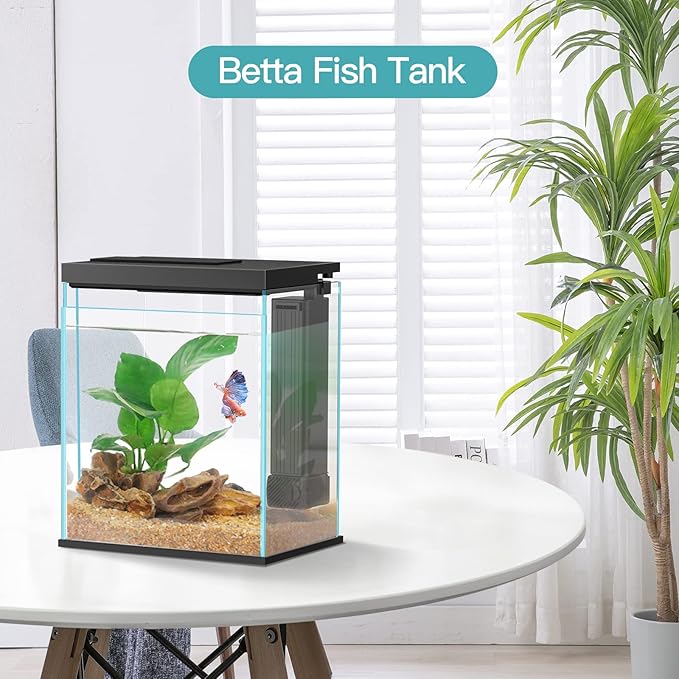 Betta Fish Tank, 2 Gallon Glass Aquarium Starter Kit, Small Fish Tank with Filter and Light.(Black) Pronetcus