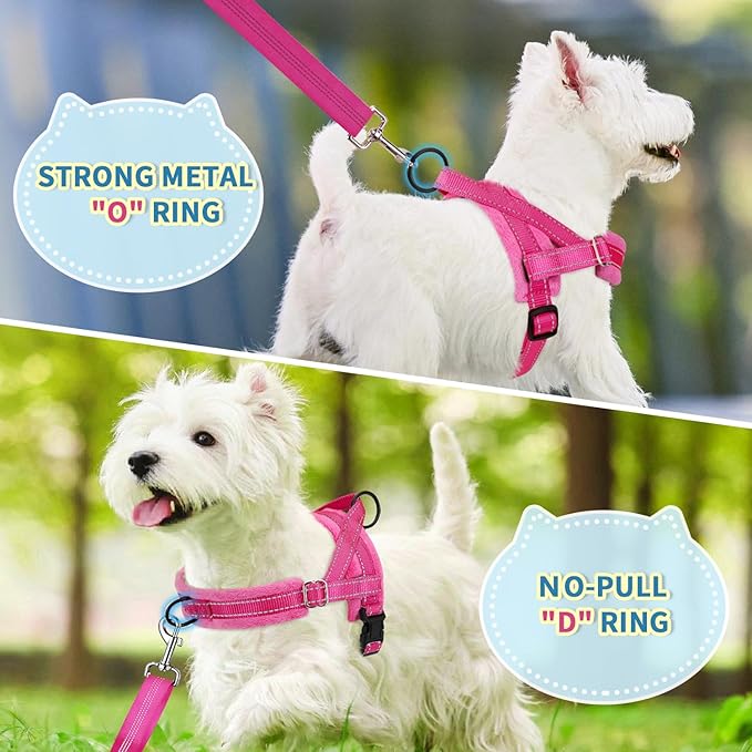 SlowTon No Pull Small Dog Harness and Leash Set, Puppy Soft Vest Harness Neck & Chest Adjustable, Reflective Lightweight Harness & Anti-Twist Pet Lead Combo for Small Medium Dogs (FU-Front Clip, XXS) SlowTon