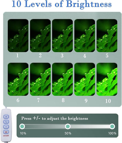 Small Aquarium Light Clip on Fish Tank Light LED USB Full Spectrum Light with Dimmer Multi-Color White+Blue+Red for 1-5 Gal Betta Tank (Adapter NoT Included, No Timer) PUEUTU