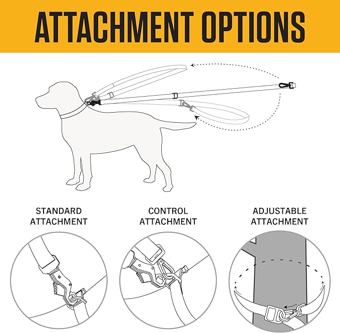 Carhartt Pet Durable Nylon Webbing Leashes for Dogs, Reflective Stitching for Visibility, Shaded Bruce (Nylon Webbing), Large Carhartt