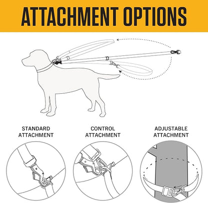 Carhartt Pet Durable Nylon Webbing Leashes for Dogs, Reflective Stitching for Visibility, Coral Glow (Nylon Webbing), Large Carhartt