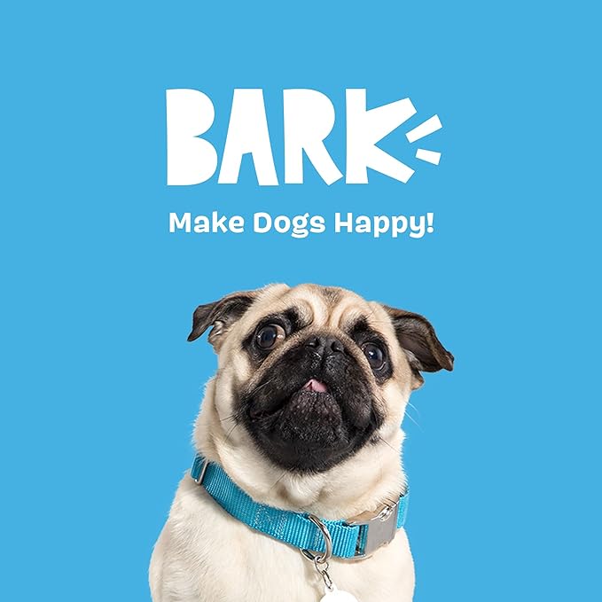 Barkbox Movie Bites Dog Toy Bundle – Squeaky Dog Toys – Plush Dog Toys – Puppy and Pet Toys for Small Dogs - PAWPICO
