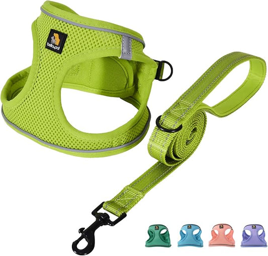 BELLA & PAL Puppy Harness with Leash Set, Dog Harness for Small Dogs No Pull, Dog Leash for Small Dogs, Step in Harness for Extra Small Dogs, Avocado Green Harness, M BELLAPAL