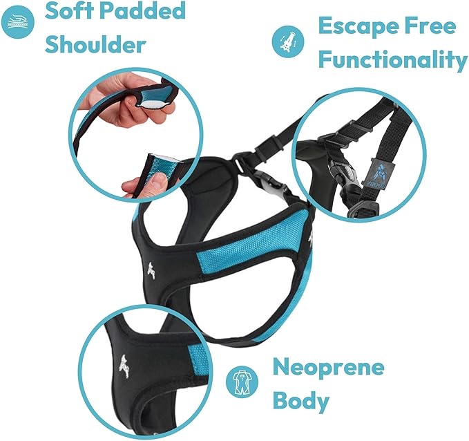 Gooby Turquoise X-Small Easy Fit Harness - No Pull Patented Design for Small Dogs with Quick Release Buckle Gooby