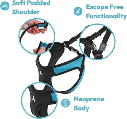 Gooby Turquoise X-Small Easy Fit Harness - No Pull Patented Design for Small Dogs with Quick Release Buckle Gooby