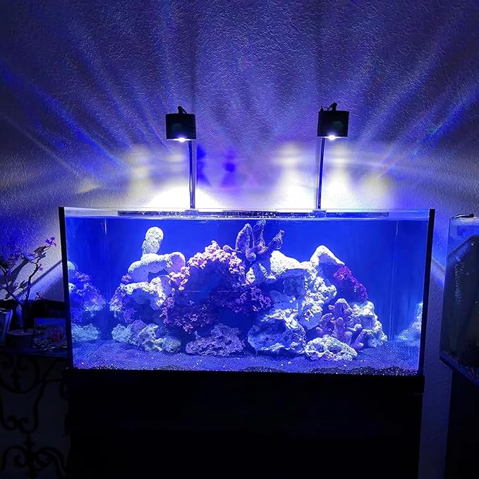 Lominie Aquarium LED Light, Reef Coral Light Full Spectrum Saltwater Aquarium Light with Remote Control Gooseneck for 10 Gallon Fish Tank Lominie