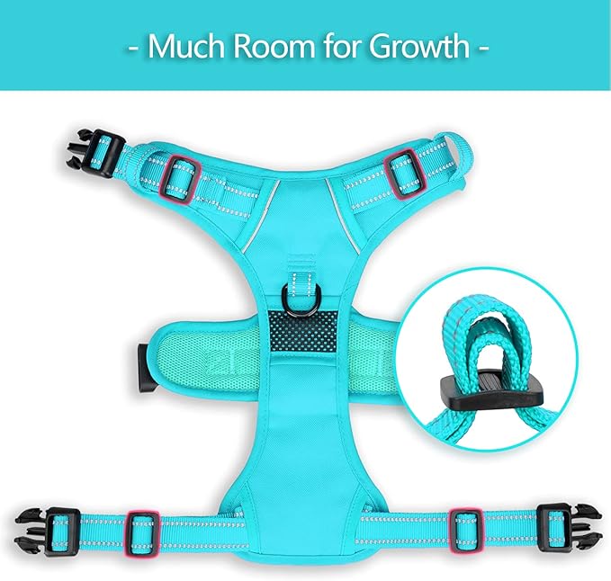 PoyPet No Pull Dog Harness, No Choke Reflective Dog Vest, Adjustable Pet Harnesses with Easy Control Padded Handle for Small Medium Large Dogs(Mint Blue Matching Trim,XS) PoyPet