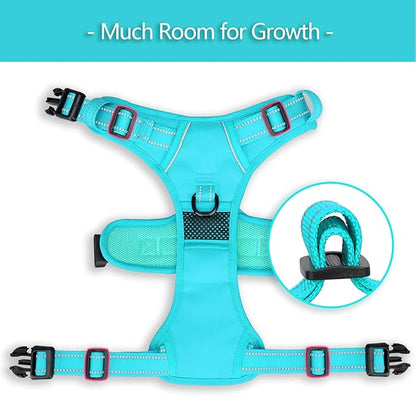 PoyPet No Pull Dog Harness, No Choke Reflective Dog Vest, Adjustable Pet Harnesses with Easy Control Padded Handle for Small Medium Large Dogs(Mint Blue Matching Trim,S) PoyPet