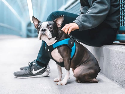 Gooby Turquoise X-Small Easy Fit Harness - No Pull Patented Design for Small Dogs with Quick Release Buckle Gooby