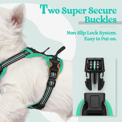 rabbitgoo Dog Harness No Pull with 2 Leash Clips, Adjustable Soft Padded, Reflective Oxford No Choke Pet Vest with Easy Control Handle for Puppy, Black & Turquoise, XS rabbitgoo