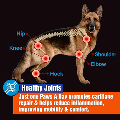 Glucosamine for Dogs Hip & Joint Supplement – “Two-in-One Combo” Dog Joint Care and Improved Skin & Coat with Chondroitin, MSM, Omega 3, Collagen & Biotin, 60 Chewable Tablets PawsADay