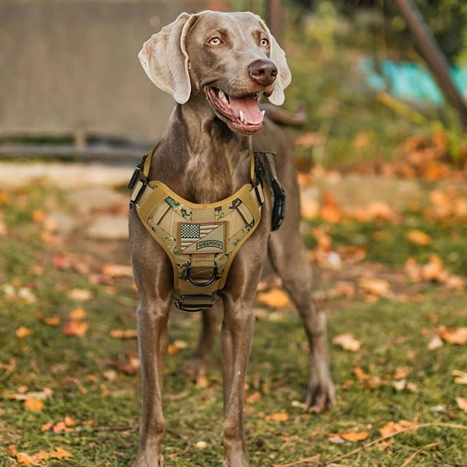 rabbitgoo Tactical Dog Harness Medium Sized, Heavy Duty Pet Harness with Handle, No-Pull Service Vest Medium Breed, Adjustable Military Dog Vest for Training Hunting Walking, Brown Camo, M rabbitgoo