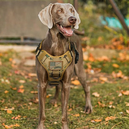 rabbitgoo Tactical Dog Harness Medium Sized, Heavy Duty Pet Harness with Handle, No-Pull Service Vest Medium Breed, Adjustable Military Dog Vest for Training Hunting Walking, Brown Camo, M rabbitgoo