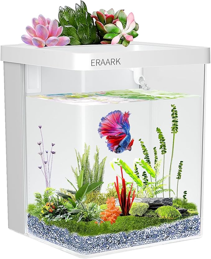 Smart Aquarium kit 1.5 Gallon Betta Fish Tank self Cleaning, Fish Tank with Filter LED Light, Water Pump, Fish Tank Starter Kits (Betta Fish Tank) ERAARK