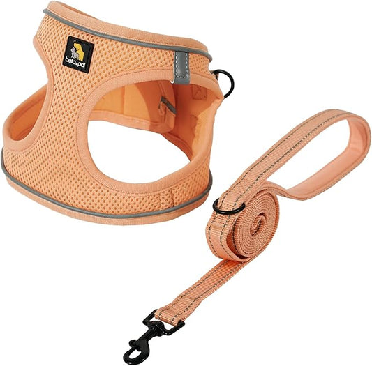 BELLA & PAL Puppy Harness with Leash Set, Dog Harness for Small Dogs No Pull, Dog Leash for Small Dogs, Step in Harness for Extra Small Dogs, Peach Harness, XXS BELLAPAL