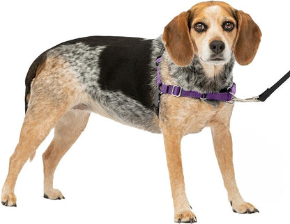 PetSafe Easy Walk No-Pull Dog Harness - The Ultimate Harness to Help Stop Pulling - Take Control & Teach Better Leash Manners - Helps Prevent Pets Pulling on Walks, Small/Medium, Deep Purple/Black PetSafe