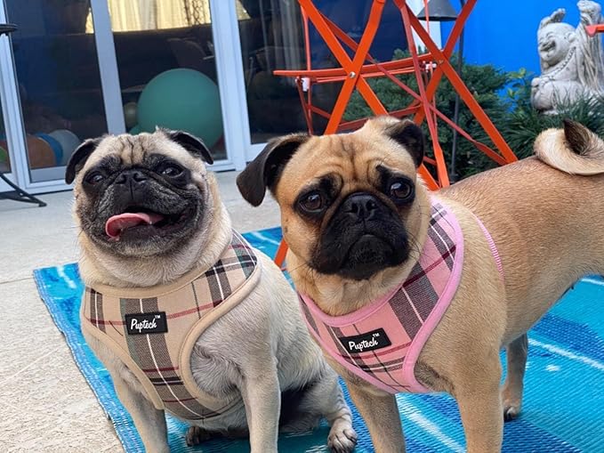 PUPTECK Soft Mesh Dog Harness and Leash Set Pet Puppy Cat Comfort Padded Vest No Pull Harnesses, Light Pink, L PUPTECK