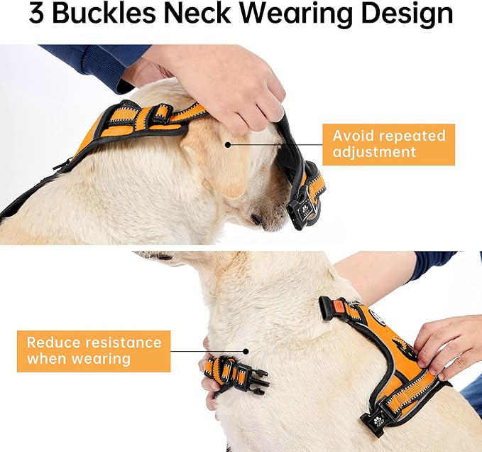 IVY&LANE No Pull Dog Harness for Small Dogs, Vest Harness with Leash, Safety Belt and Storage Strap, Fully Adjustable, 360° Reflective Strip, Soft Handle (Orange, S) IVYLANE