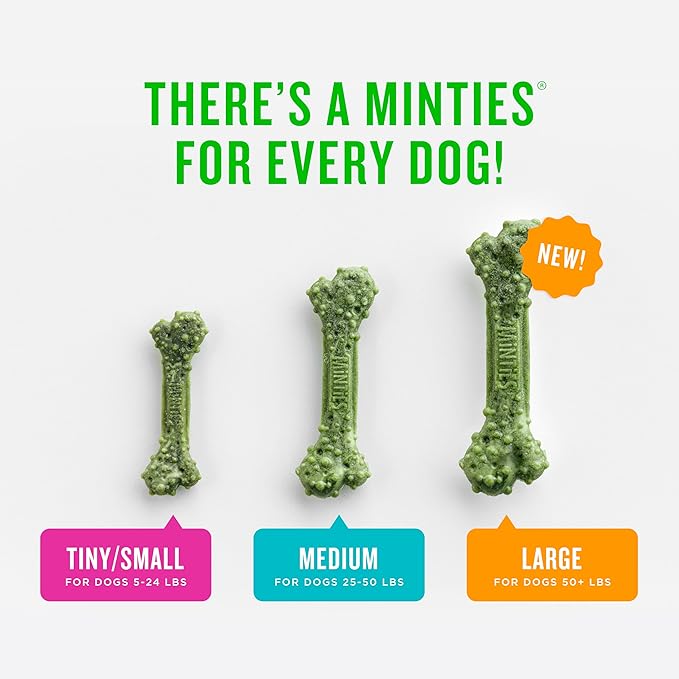 Minties Dental Chews for Dogs, 36 Count, Vet-Recommended Mint-Flavored Dental Treats for Large Dogs Over 50 lbs, Dental Bones Clean Teeth, Fight Bad Breath, and Removes Plaque and Tartar Minties