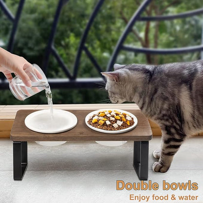 Sunhoo Ceramic Elevated Cat Bowls, Raised Puppy Dishes for Food and Water, Tilted Bamboo Stand for Anti Vomiting, Indoor 5.5 inch Wide Double Dish Orthopedic Anti-Vomiting (Brown) - PAWPICO