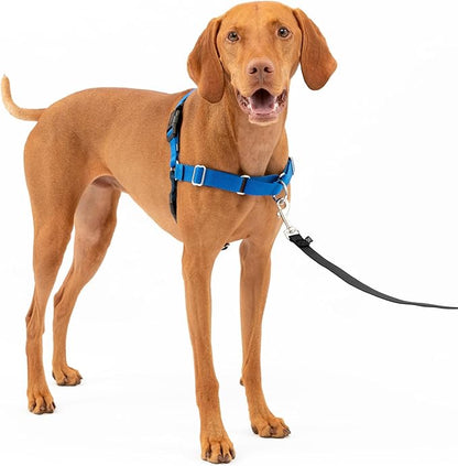 PetSafe Easy Walk No-Pull Dog Harness - The Ultimate Harness to Help Stop Pulling - Take Control & Teach Better Leash Manners - Helps Prevent Pets Pulling on Walks, Medium, Royal Blue/Navy Blue PetSafe