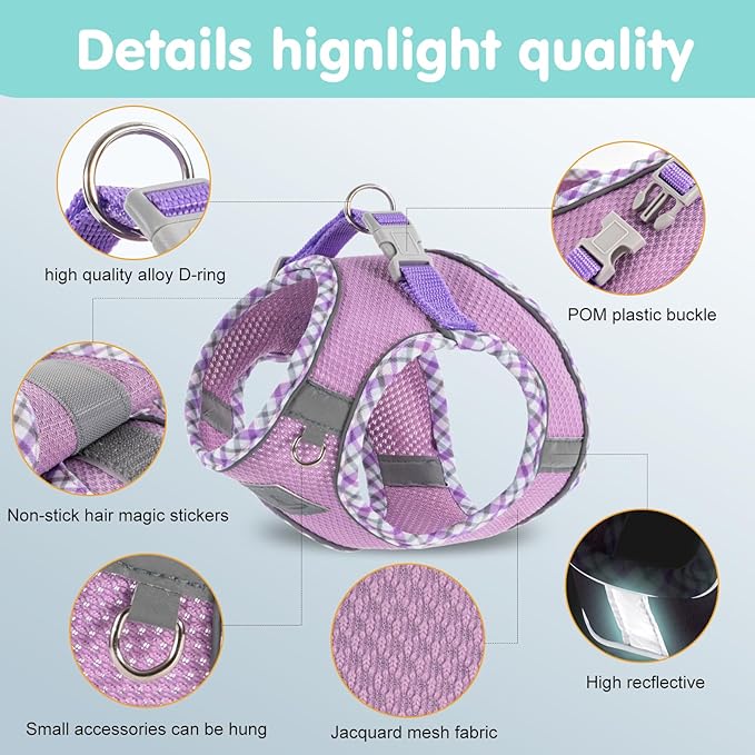 Dog Harness and Leash Set, No Pull Pet Harness for Small Dogs Easy Walking,Soft Breathable Small Dog Harness,Adjustable Reflective Step in Vest Harness for Puppy,Kitten, Cats TomteNisse