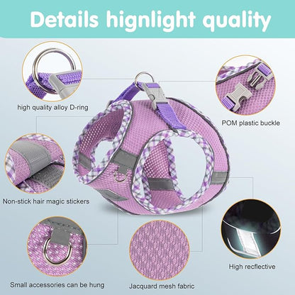 Dog Harness and Leash Set, No Pull Pet Harness for Small Dogs Easy Walking,Soft Breathable Small Dog Harness,Adjustable Reflective Step in Vest Harness for Puppy,Kitten, Cats TomteNisse