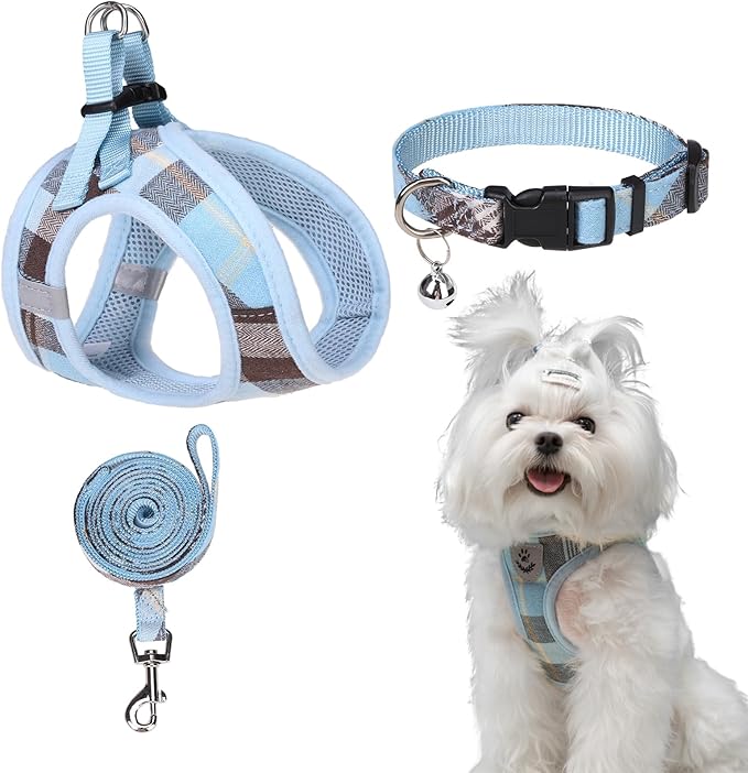 EXPAWLORER Classic Plaid Step in Dog Harness - Small Dog Collar and Leash - Soft Mesh Padded Adjustable Small Dog Vest Harness No Pull, Reflective Escape Proof for Outdoor Walking, Blue Large EXPAWLORER