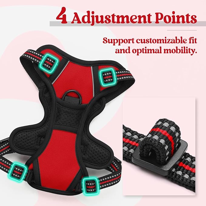 rabbitgoo Dog Harness No Pull with 2 Leash Clips, Adjustable Soft Padded, Reflective Oxford No Choke Pet Vest with Easy Control Handle for Puppy, Red,XS rabbitgoo