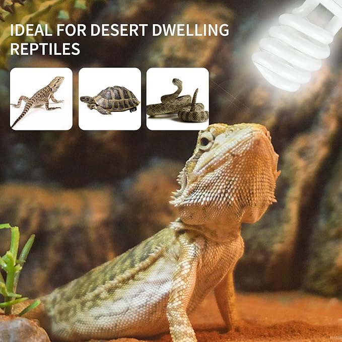 LUCKY HERP Desert UVA UVB Reptile Light Bulb 10.0 13W Compact Fluorescent Lamp LUCKYHERP