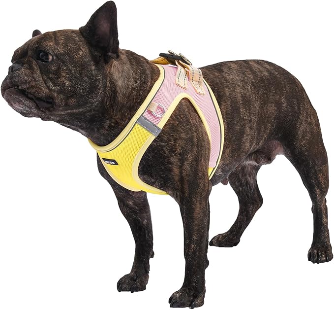 AMTOR Small Dog Harness with Leash Set, No Escape Easy Walk Puppy Harnesses for Training Walking, Step-in Reflective Soft Dogs Vest for XS S Medium Extra-Small Large Sized Dog(Yellow) AMTOR