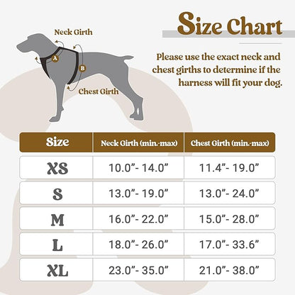 rabbitgoo Dog Harness No Pull with 2 Leash Clips, Adjustable Soft Padded, Reflective Oxford No Choke Pet Vest with Easy Control Handle for Small Dogs, Black, S rabbitgoo
