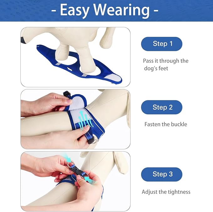 Dog Harness for Small Dogs, Small Dog Harness and Leash Set, Honeycomb Grid, Reflective Lightweight Harness & Anti-Twist Pet Lead,Dog Harness(Multi Color, Size: XS-S-M) (XS, Sapphire Blue) PAWPICO