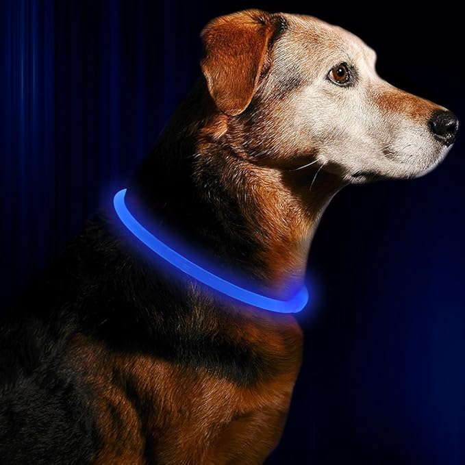 Light up Dog Collar, BSEEN USB Rechargeable Flash Dog Necklace Light, Pet Safety Collar Makes Your Beloved Dogs Be Seen at Night for Small Medium Large Dogs(Blue) - PAWPICO