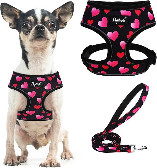 PUPTECK Soft Mesh Dog Harness and Leash Set Pet Puppy Cat Comfort Padded Vest No Pull Harnesses Valentine, Black&Pink, S PUPTECK