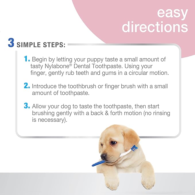 Nylabone Advanced Oral Care Puppy Dental Kit Puppy Original 3 Count Nylabone