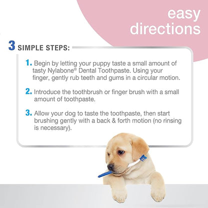 Nylabone Advanced Oral Care Puppy Dental Kit Puppy Original 3 Count Nylabone