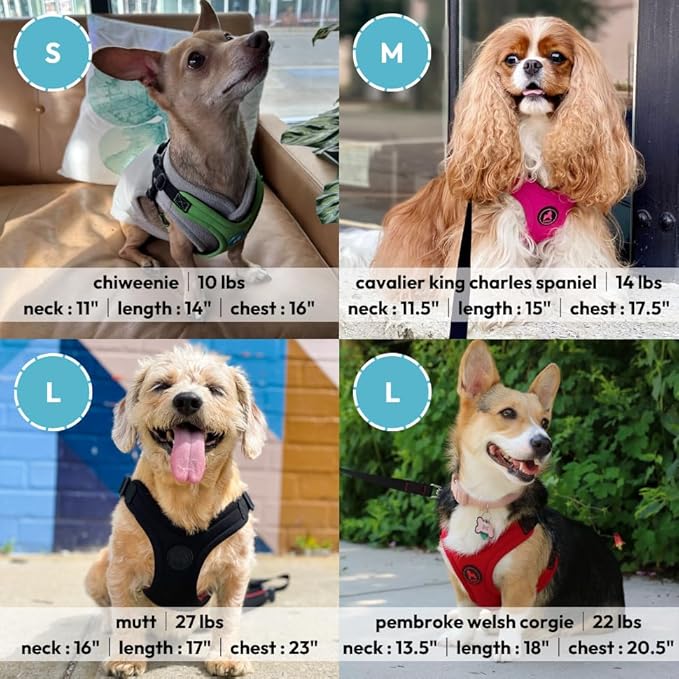 Gooby Escape Free Sport Harness - Blue, Medium - No Choke Step-in Patented Neoprene Small Dog Harness with Four-Point Adjustment - Perfect on The Go Dog Harness for Medium Dogs No Pull and Small Dogs Gooby