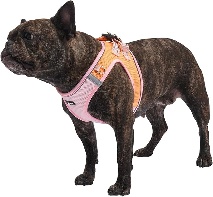 AMTOR Small Dog Harness with Leash Set, No Escape Easy Walk Puppy Harnesses for Training Walking, Step-in Reflective Soft Dogs Vest for XS S Medium Extra-Small Large Sized Dog(Pink/Orange) AMTOR