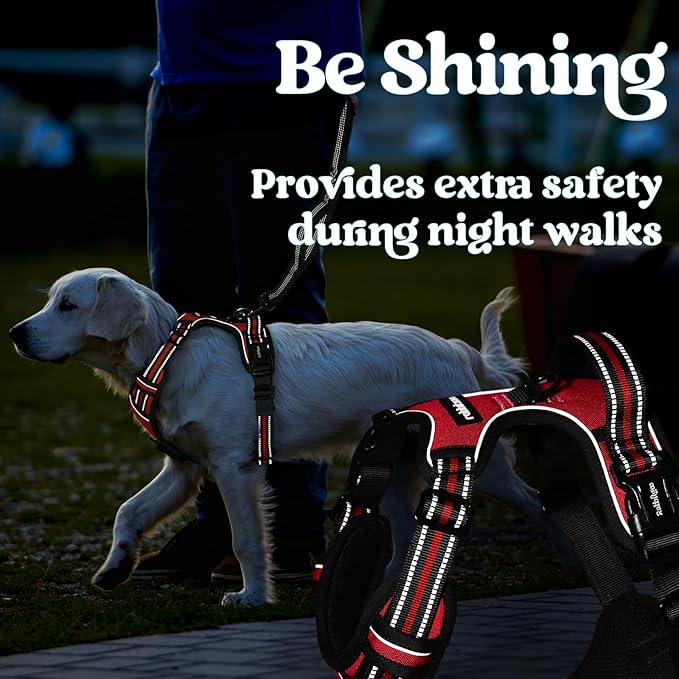 rabbitgoo Dog Harness Medium Sized, No Pull Pet Harness with 3 Buckles, Adjustable Soft Padded Pooch Vest with Instant Control Handle, Easy Walking Reflective Pet Vest for Medium Dogs, Red, M rabbitgoo