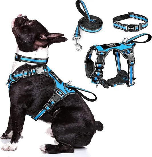 WINSEE Pet Harness Collar and Leash Set, All-in-one Reflective Dog Harness No Pull with Adjustable Buckles for Puppies, Small, Medium, Large, and Extra-Large Dogs (Medium, Blue) WINSEE