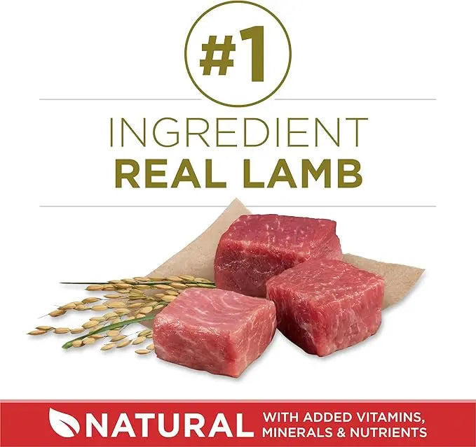 Purina ONE Dry Dog Food Lamb and Rice Formula - (Pack of 4) 4 lb. Bags - PAWPICO