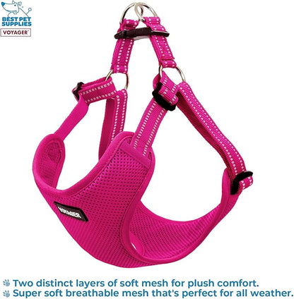 Best Pet Supplies Voyager Adjustable Dog Vest Harness Breathable No Pull Harness for Small, Medium, Large Dogs, Heavy Duty Harness for Walking, Jogging, Easy Step-In, Reflective Stripes - (Fuchsia), L BestPetSuppliesLLC