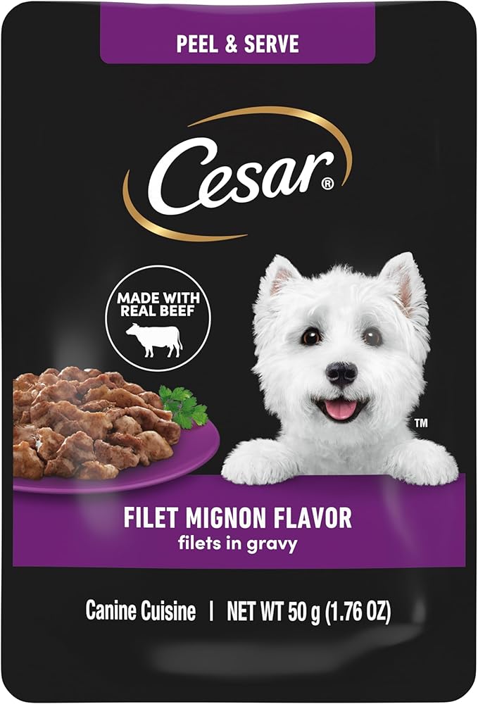 Cesar Filets in Gravy Wet Dog Food Filet Mignon Flavor, 1.76 oz. Mini-Pouch, 20 Pack - PAWPICO