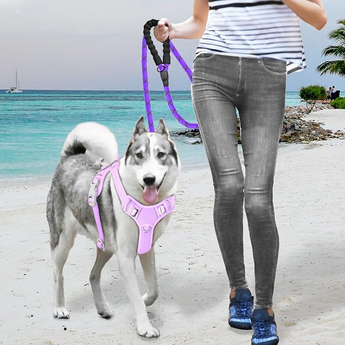 BARKBAY No Pull Dog Harness Large Reflective Dog Harness with Front Clip and Easy Control Handle for Walking Training Running with ID tag Pocket(Violet Purple,S) BARKBAY