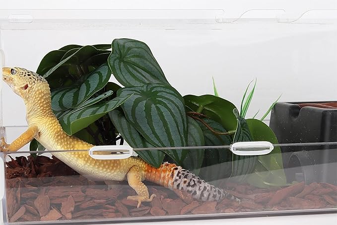 Reptile Plants for Terrarium, Ball Python Tank Decor Accessories fit Bearded Dragon Crested Leopard Gecko Lizard Chameleon Snake Frog Tortoise Hermit Crab - Fake Calathea Orbifolia WOLEDOE