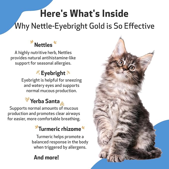 Pet Wellbeing Nettle-Eyebright Gold for Cats - Vet-Formulated - Seasonal Allergies, Hay Fever, Allergic Rhinitis - Natural Herbal Supplement 2 oz (59 ml) PetWellbeing