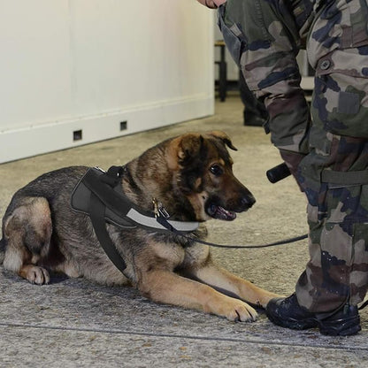 Bolux Dog Harness, No-Pull Reflective Dog Vest, Breathable Adjustable Pet Harness with Handle for Outdoor Walking - No More Pulling, Tugging or Choking (Black, S) Bolux